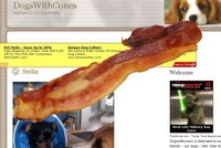 Interactive Online Tomfoolery Image 2