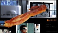 Interactive Online Tomfoolery Image 8