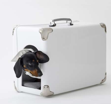 Sleek Pet Carriers