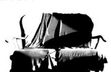 Adhesive Furniture Decals