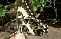 Satellite-Aided Nature Discoveries Image 5