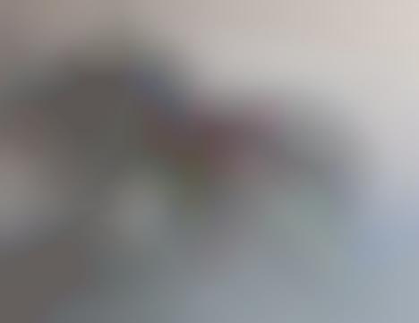 Canines Fashioned From Footwear