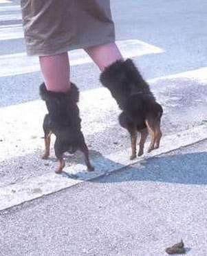 13 Pairs of Badass Boots