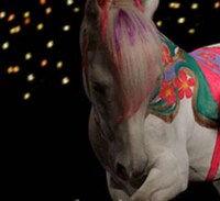 Body Painting Animals Image 4