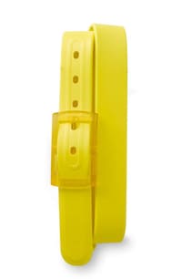 Bright Recyclable Belts Image 7