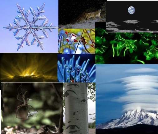 26 Fascinating Nature Studies