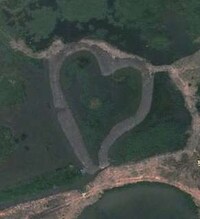 Seeking Natural Symbols of Love Image 3