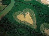 Seeking Natural Symbols of Love Image 7