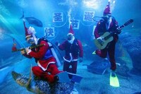 Capturing Global Holiday Celebrations Image 2