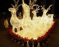 Capturing Global Holiday Celebrations Image 8