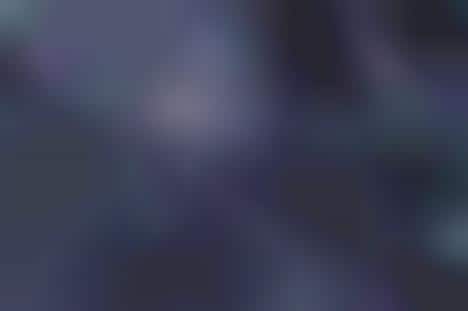 Incredible Close-Up Naturetography