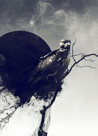 Haunting Mixed Media Image 3