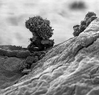 Nanoscapes Image 2