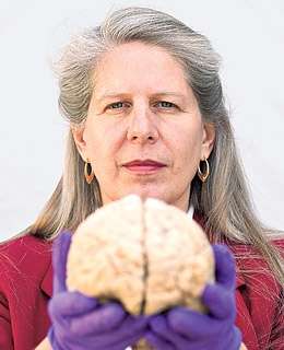 Personal Brain Science