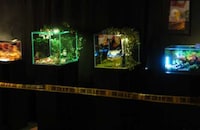 Fairytale Homicides Image 7