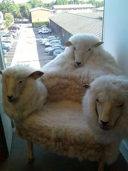 17 Sheepovations