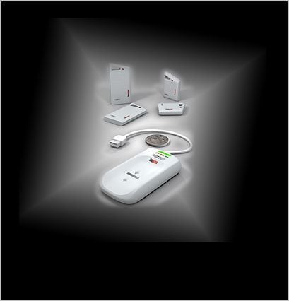 Virtual Biometric Wallets