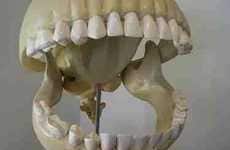 38 Scary Skullptures