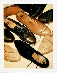 Iconic Polaroid Photography Exhibits Image 2