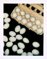 Iconic Polaroid Photography Exhibits Image 3