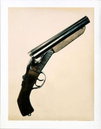 Iconic Polaroid Photography Exhibits Image 5