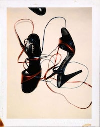 Iconic Polaroid Photography Exhibits Image 8