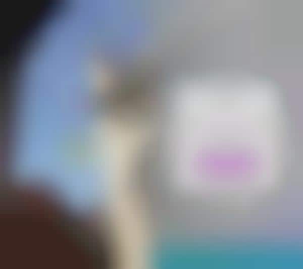 Commemorative Social Media Filters