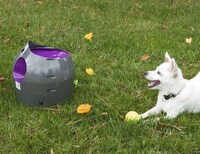 Autonomous Dog Toys Image 2