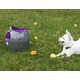 Autonomous Dog Toys Image 2