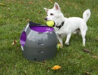 Autonomous Dog Toys Image 3