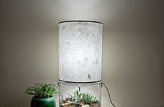 Transparent Terrarium Lamps