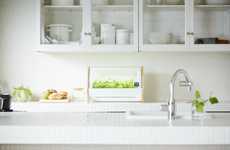 Hydroponic Indoor Vegetable Gardens