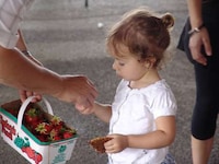 Toddler-Friendly Nature Programs Image 3