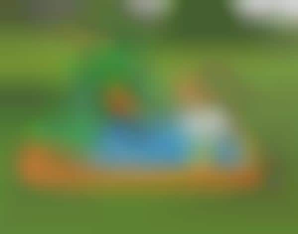 Bouncy Backyard Waterparks