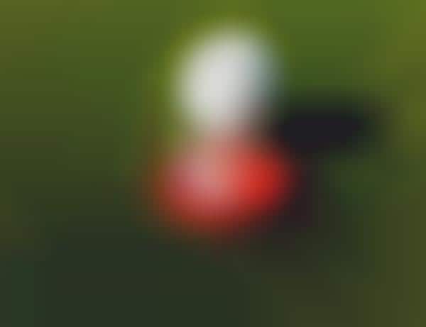 Level-Detecting Golf Markers
