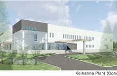 Enormous Lettuce Factories