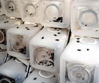Modular Insect Farms Image 8