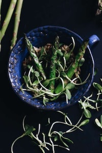 Asparagus Oatmeal Recipes Image 4