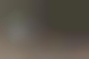 Modular Sushi Fusion Eateries: CasaMaki Sushi Merges Japanese Cuisine ...
