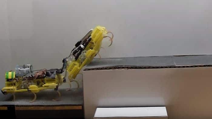 Cockroach-Inspired Robots