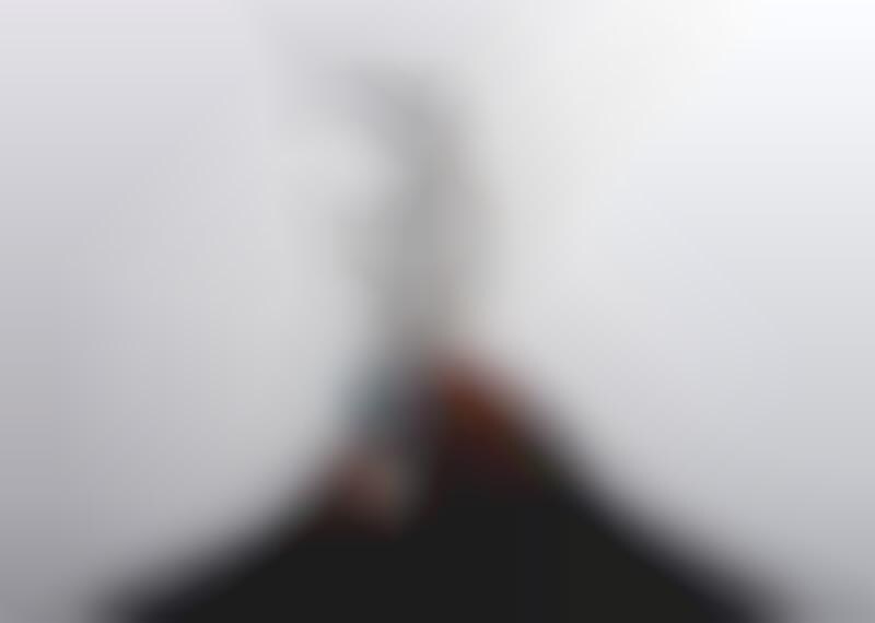 38 MultiUse Backpacks