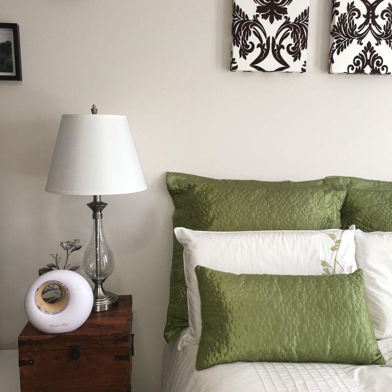 White Noise Humidifiers