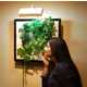 Aeroponic Wall Gardens Image 2