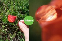 Paper-Thin Smartphone Lenses Image 5