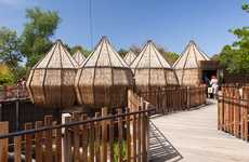 Tree House Exhibitions