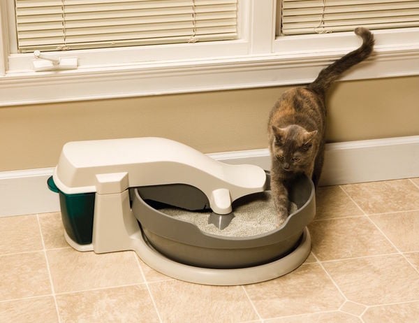 18 Self-Cleaning Design Concepts