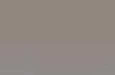 Ecological Electric Toothbrushes