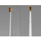 Ecological Electric Toothbrushes Image 6