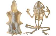 3D-Printable Skeleton Models