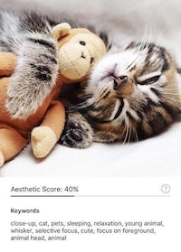 Automatic Photo-Organizing Apps Image 6